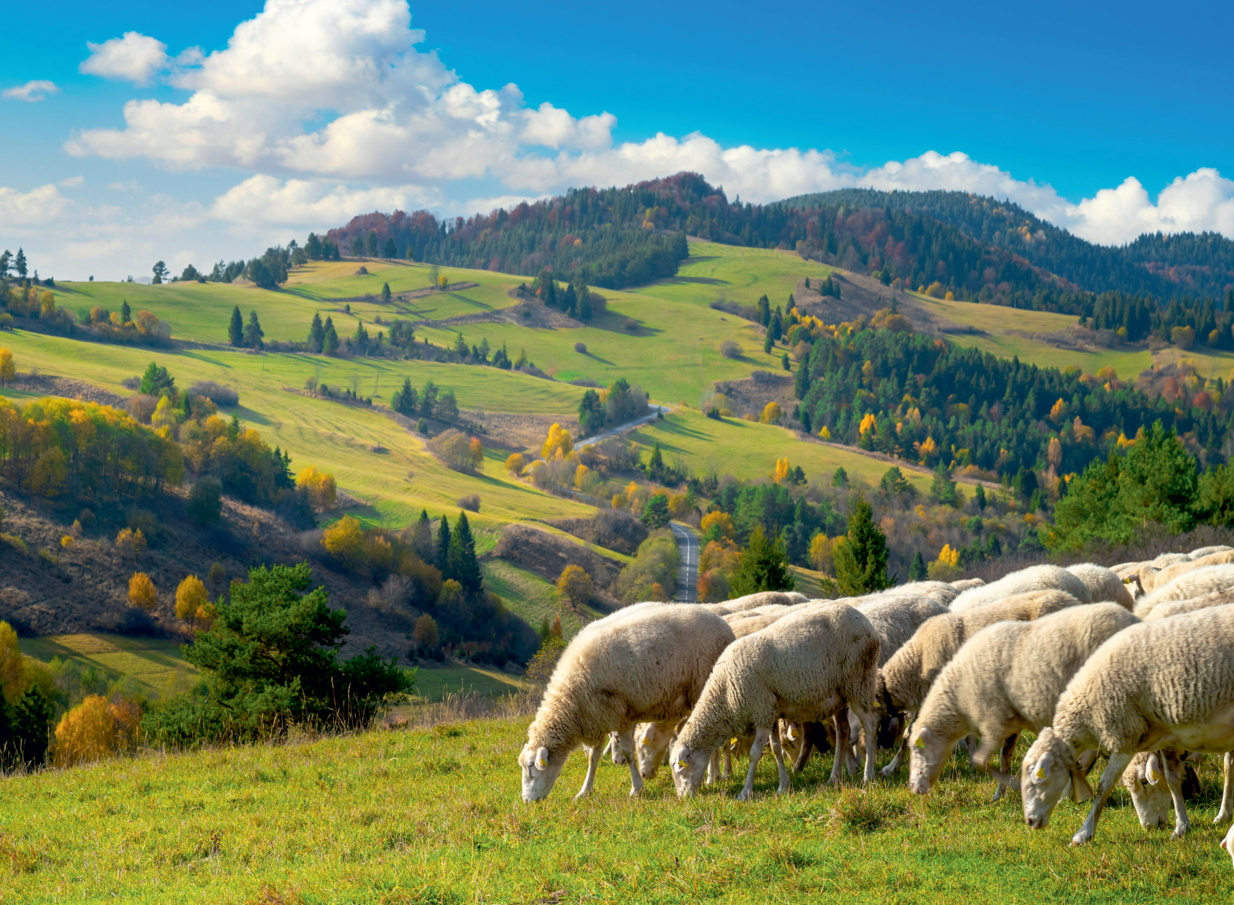 G2 - Pieniny 2027
