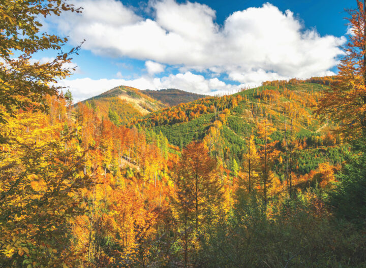 G5 Beskidy
