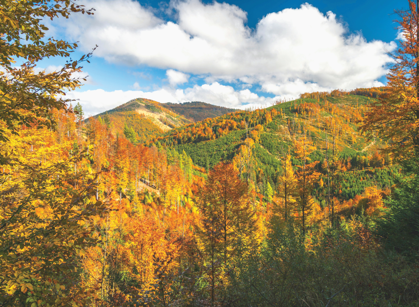 G5 - Beskidy 2027